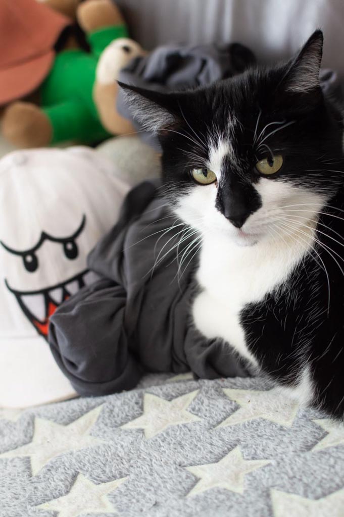 Nahaufnahme einer schwarz-weissen Katze, die direkt in die Kamera blickt. Die Katze liegt auf einem weichen Untergrund und hat markante gelbe Augen.