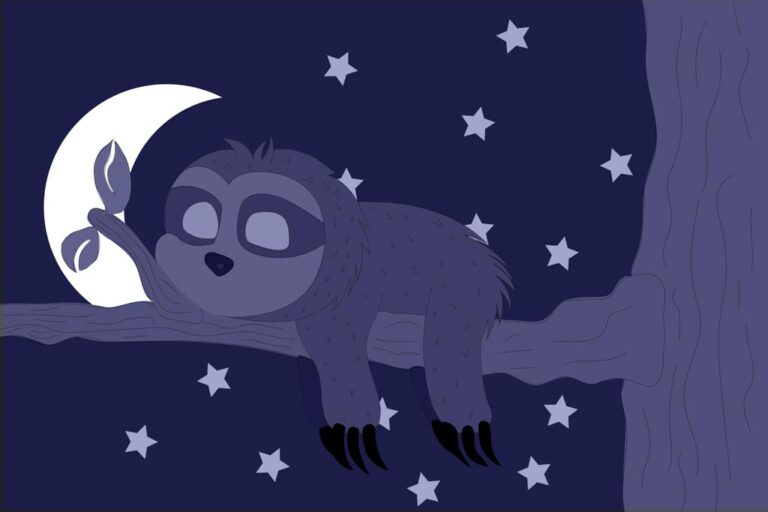 Zeichnung eines Faultiers, das sich nachts auf einem Ast ausruht und sanft eine Blattknospe an einem Mond berührt, umgeben von Sternen.